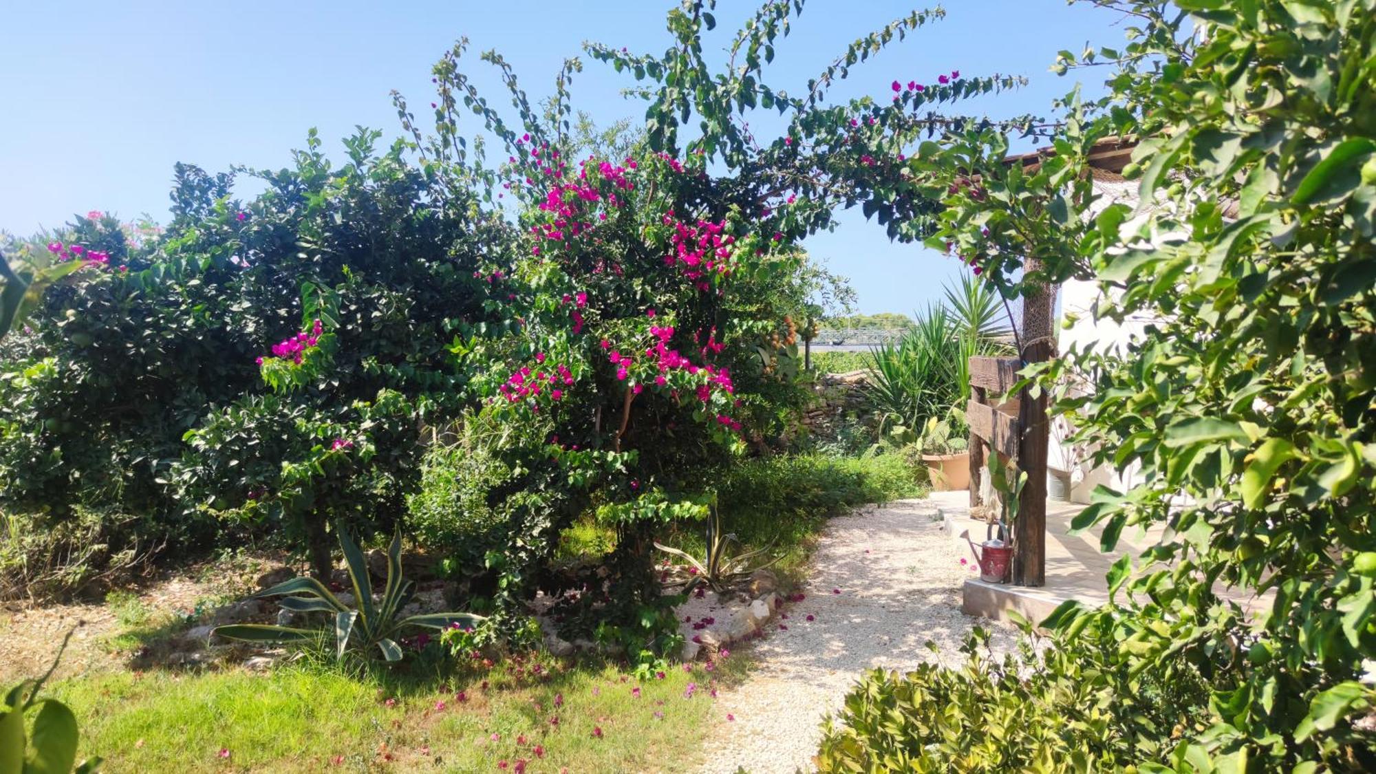 Apartamento Sweet Old House Marsala Exterior foto